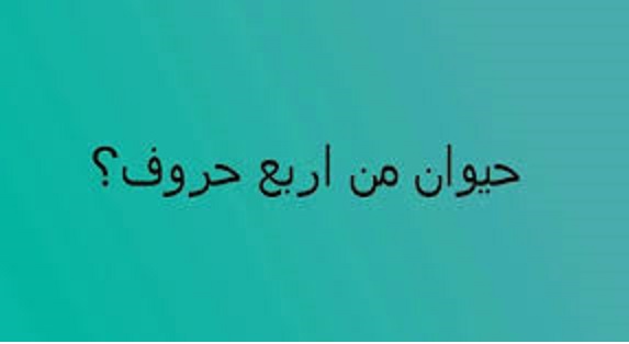 أسماء حيوانات مكونة من 4 حروف