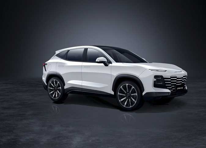 لمحة عن جيتور وتاريخها