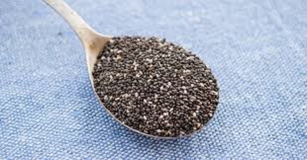 التعريف ببذور الشيا وأهميتها