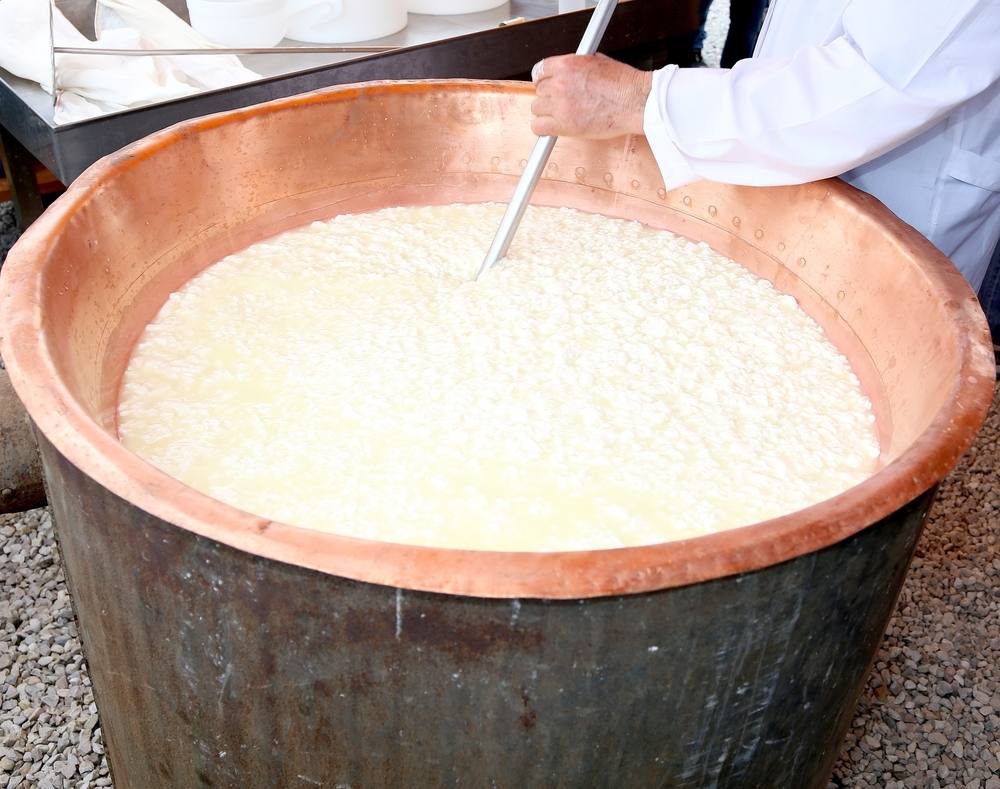 أهمية المنفحة ودورها في صناعة الجبن