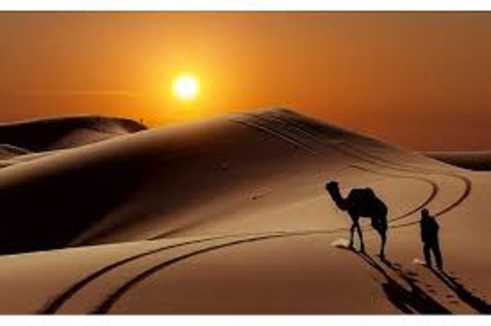 أصل الرجبي وش يرجع في السعودية