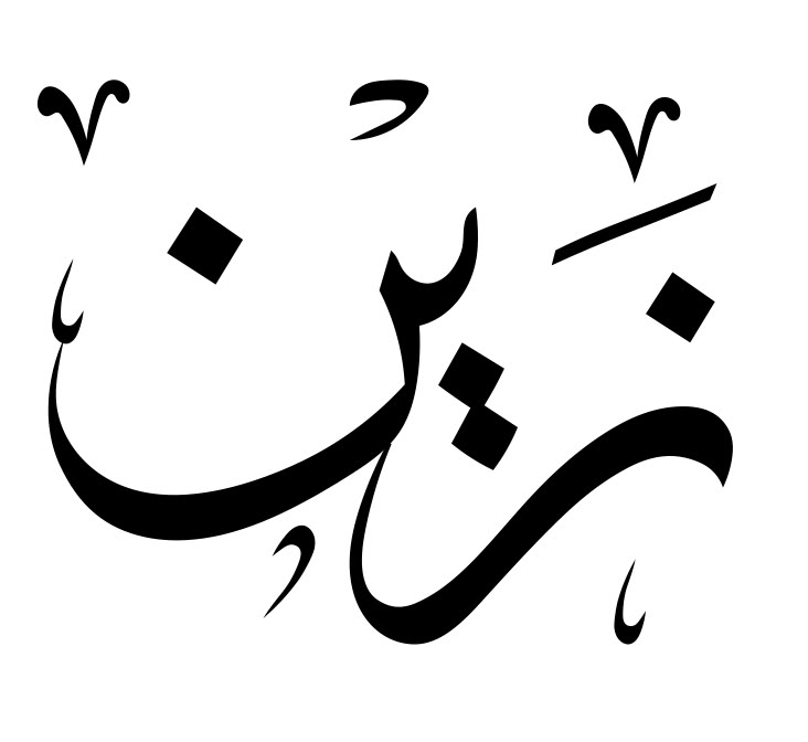 ما هو زخرفة اسم زين