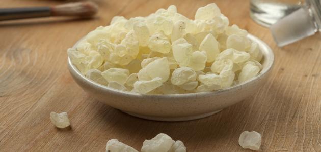 لمحة عن المستكة واللبان الذكر