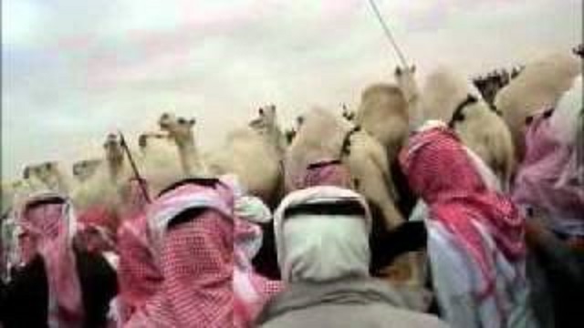 تعريف ناصر بن طويق وش يرجع