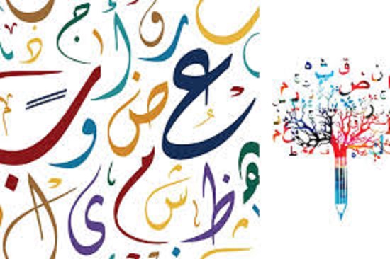 تعريف المصطلحات