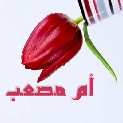 نظرة عامة على المعالجة أم مصعب