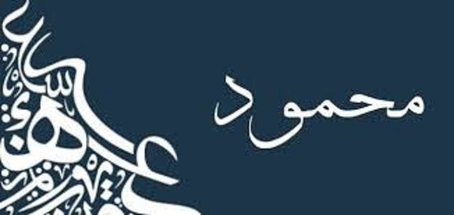 أسرار النكت على اسم محمود