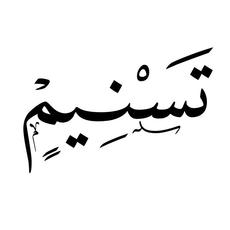 زخرفة اسم تسنيم نظرة عامة