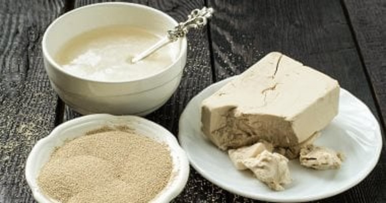 أهمية خميرة البيرة وفوائدها