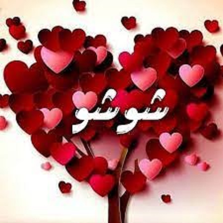 أهمية زخرفة اسم شوشو في عالم التصميم