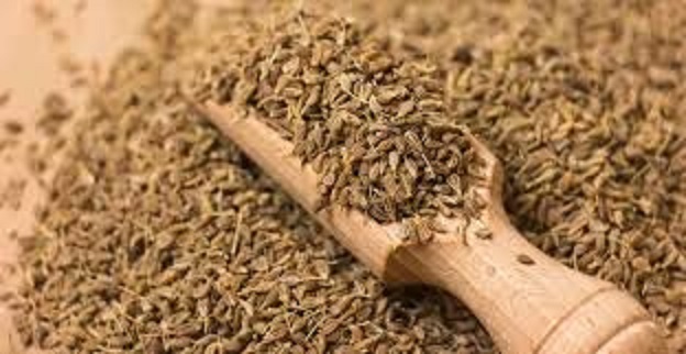 ما هي حبة الحلاوة وفوائدها الصحية